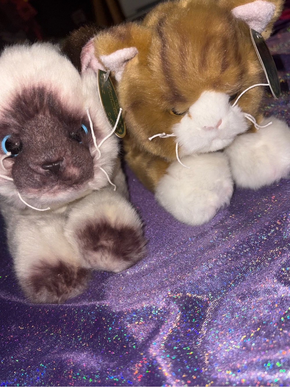 Bearington Collection Kitty Plush Set